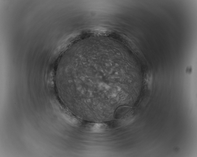 X0000111820663200907231319