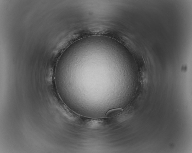 X0000111820664200907231319