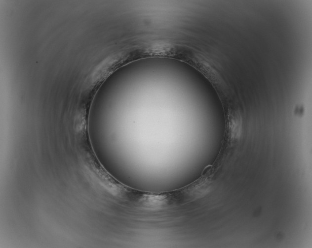 X0000111820665200907231319