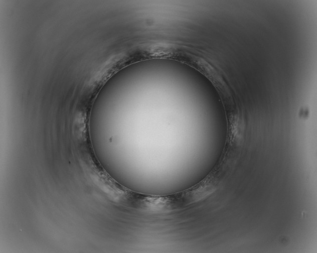 X0000111820667200907231320