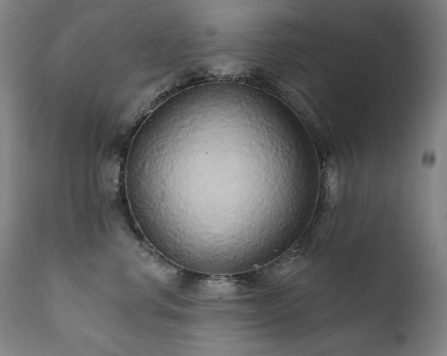 X0000111820668200907231320