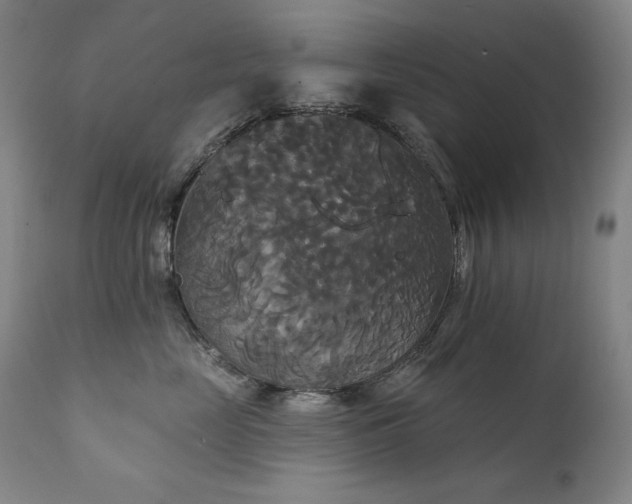 X0000111820669200907231320
