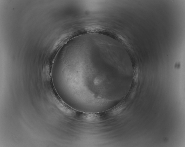X0000111820670200907231320