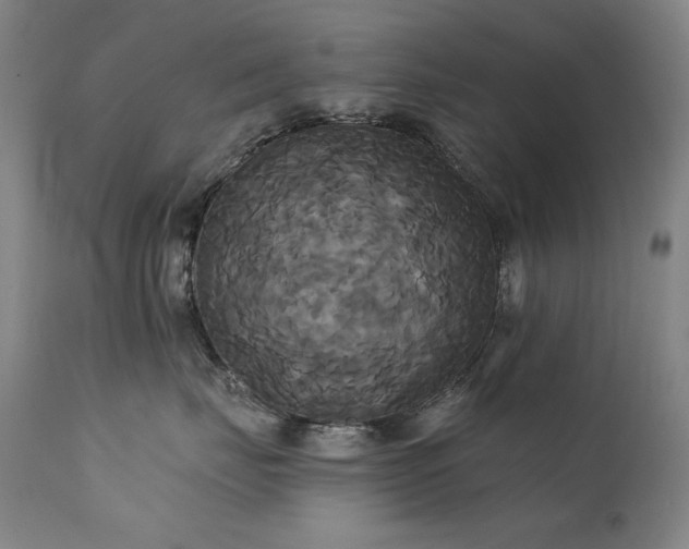 X0000111820671200907231320
