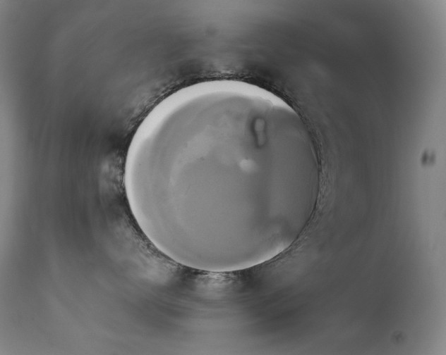 X0000111820672200907231320