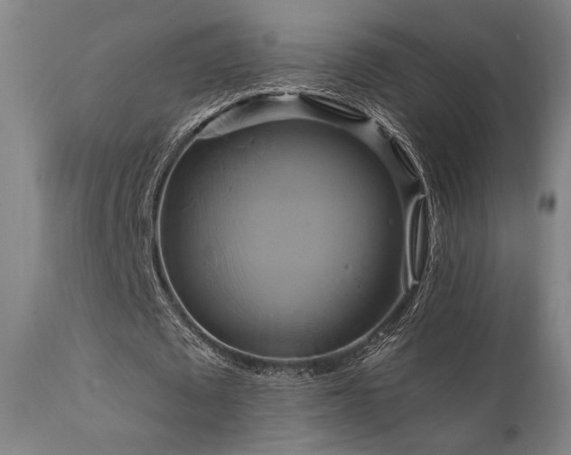 X0000111820673200907231319
