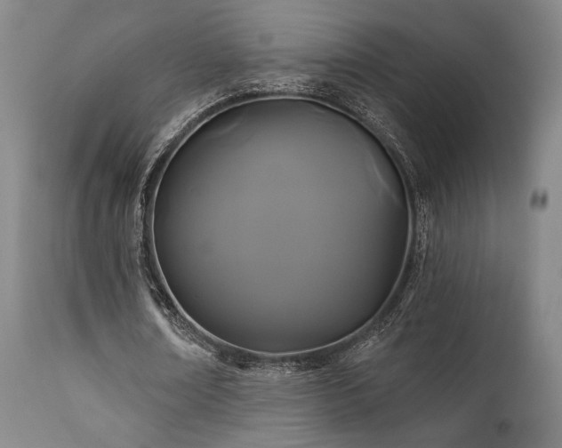 X0000111820674200907231319