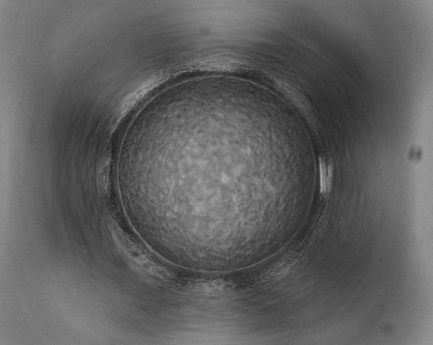 X0000111820675200907231319