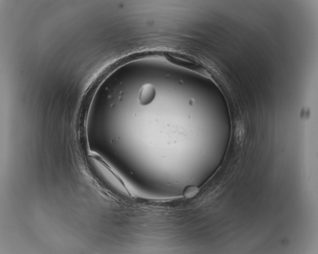 X0000111820676200907231319