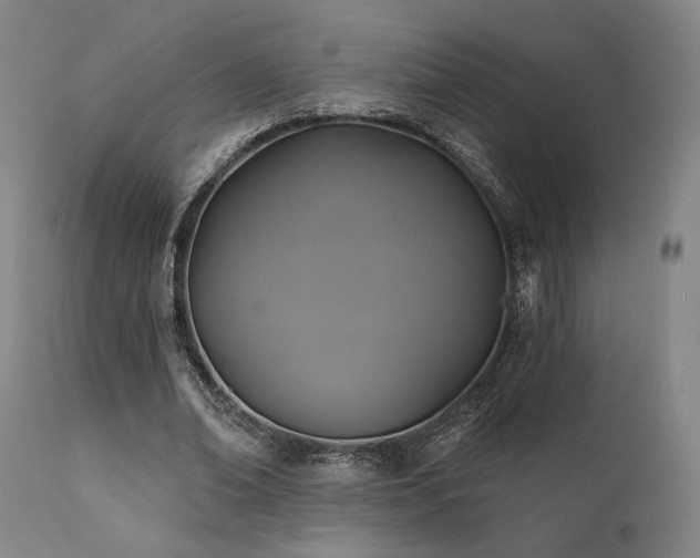 X0000111820678200907231319