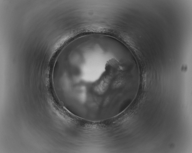 X0000111820679200907231319