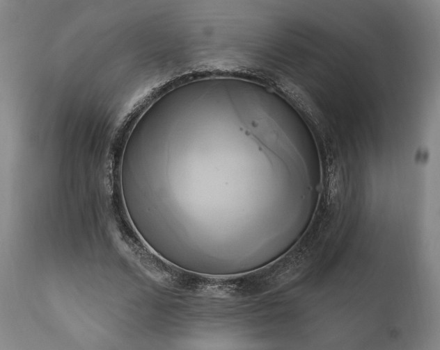 X0000111820680200907231319