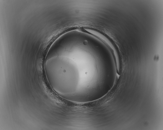 X0000111820681200907231319