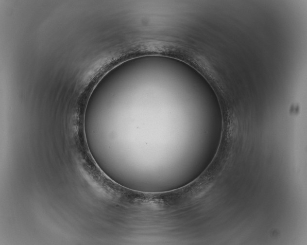 X0000111820683200907231319
