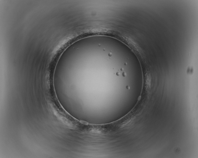 X0000111820684200907231319