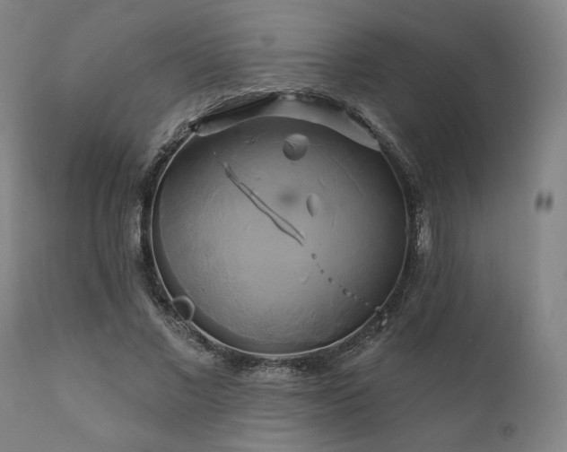 X0000111820685200907231319