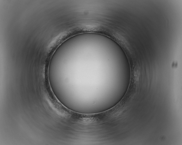 X0000111820686200907231319