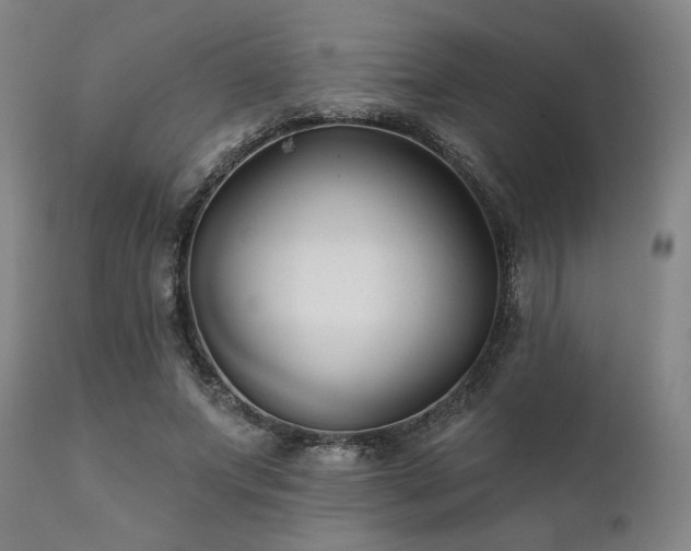 X0000111820687200907231319