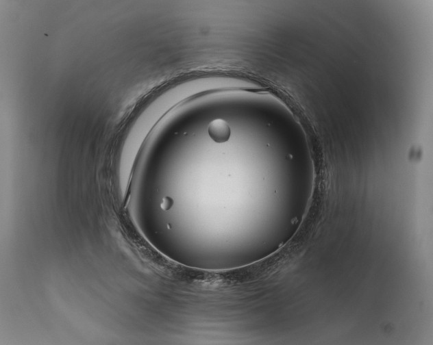 X0000111820688200907231319