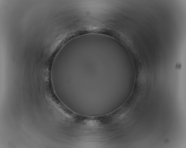 X0000111820689200907231319