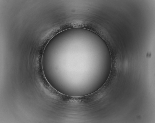 X0000111820690200907231319