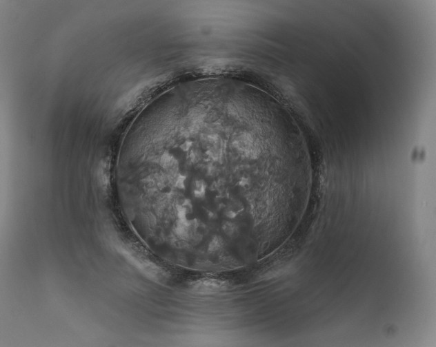 X0000111820691200907231319