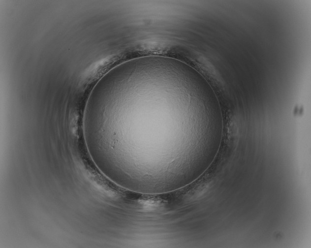 X0000111820693200907231319