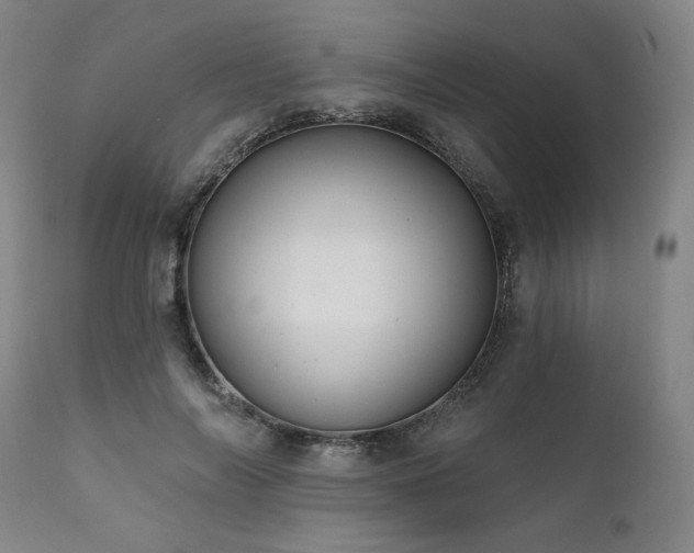 X0000111820694200907231319