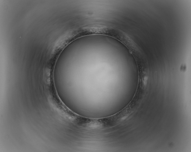 X0000111820696200907231319