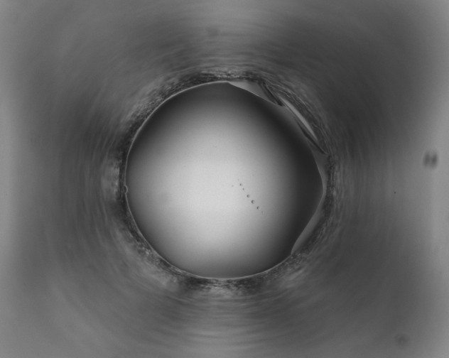 X0000111820697200907231319