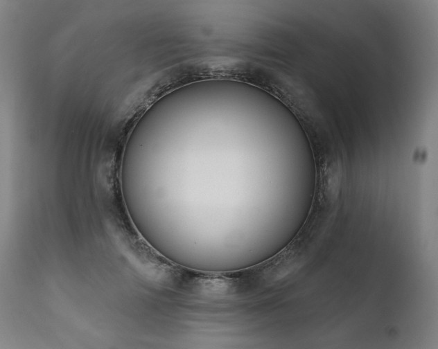 X0000111820698200907231319
