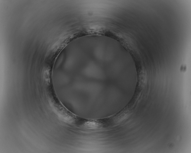 X0000111820699200907231319