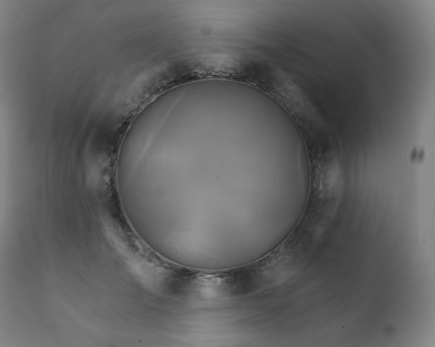 X0000111820701200907231319