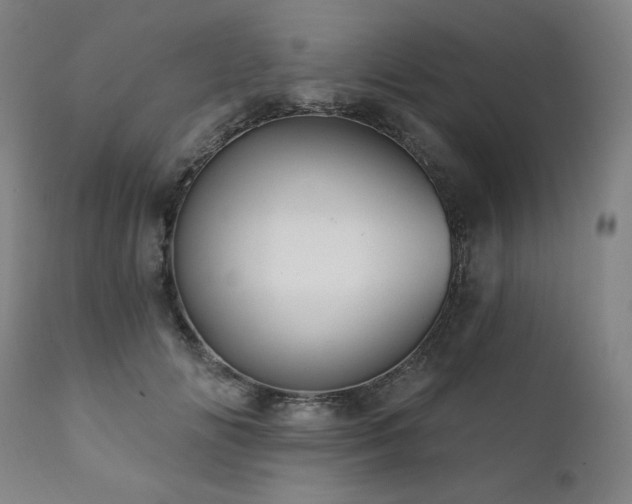 X0000111820702200907231319