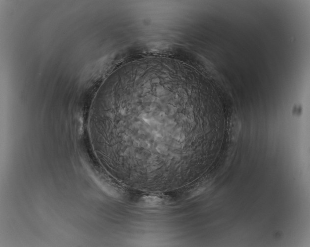 X0000111820703200907231319