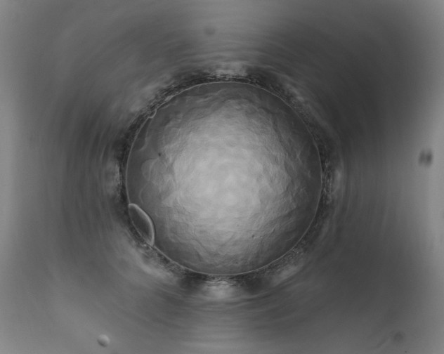 X0000111820704200907231319