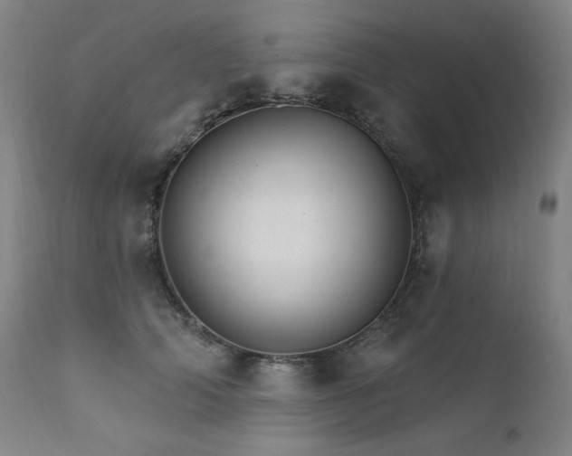X0000111820706200907231318