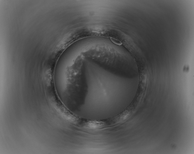 X0000111820707200907231318