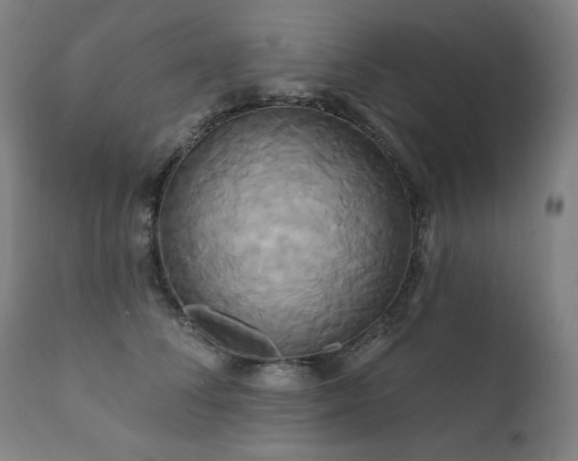 X0000111820708200907231318