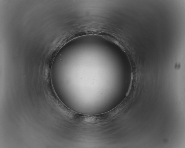 X0000111820709200907231318
