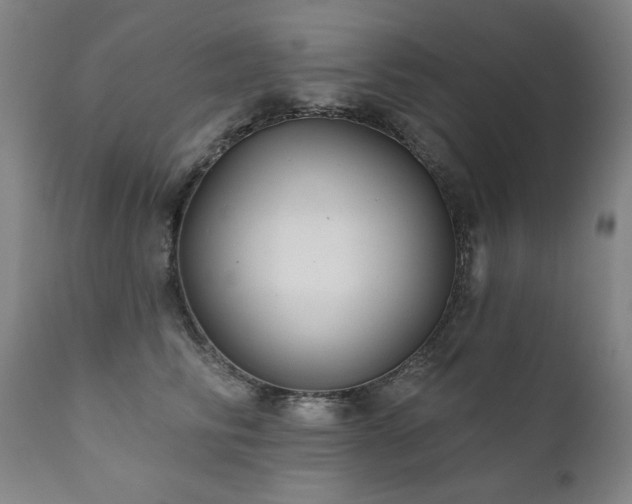 X0000111820710200907231318
