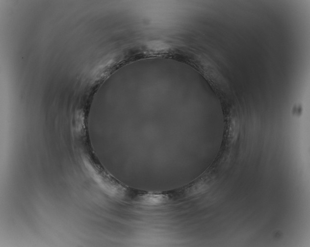X0000111820711200907231318