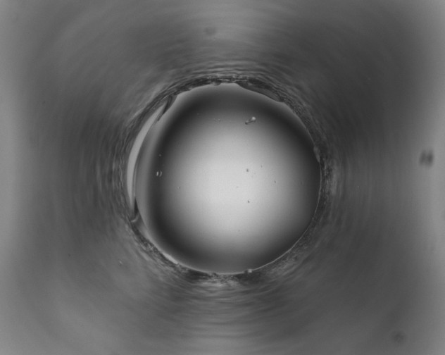 X0000111820712200907231318
