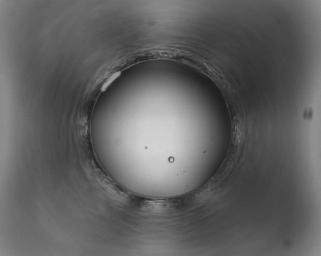 X0000111820713200907231318