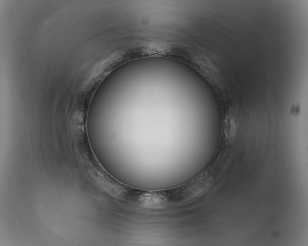 X0000111820714200907231318