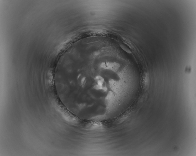 X0000111820715200907231318