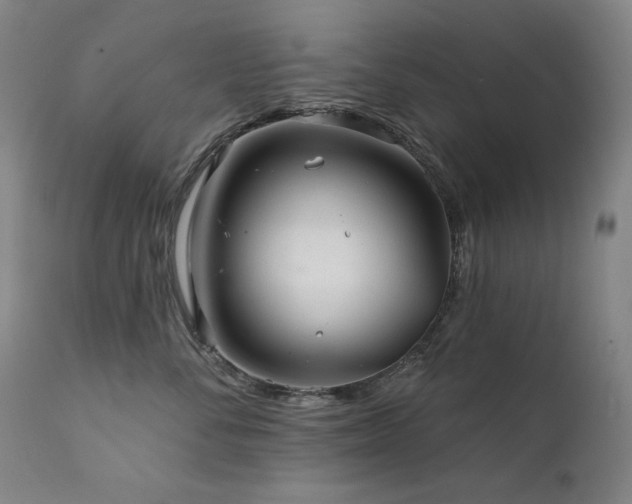 X0000111820716200907231318