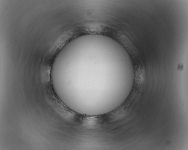 X0000111820717200907231318