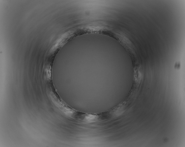 X0000111820718200907231318