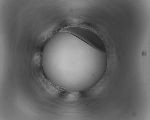 X0000111820720200907231318